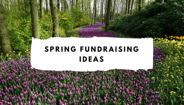 Top 10 Spring Fundraising Ideas That Every Nonprofit Must Try| Donorbox