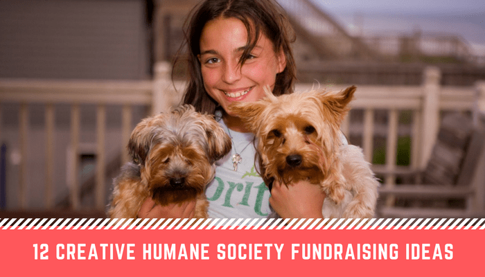 12 Creative Humane Society Fundraising Ideas in 2022