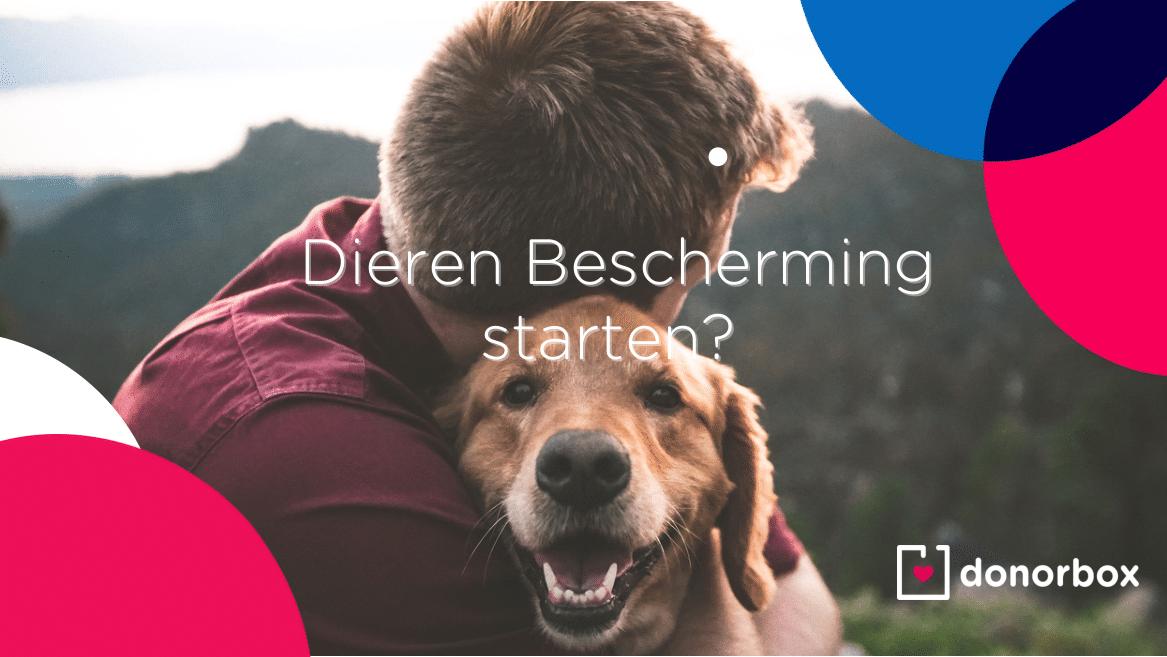 Hoe start ik een dierenbescherming? | De Ultieme Gids