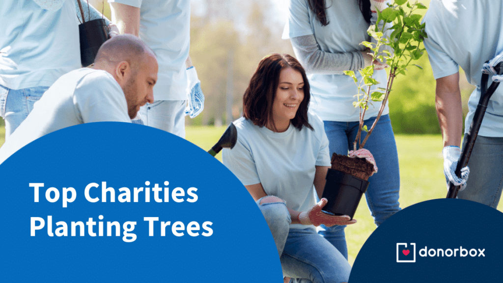 Top 10 Charities Planting Trees and Encouraging Reforestation