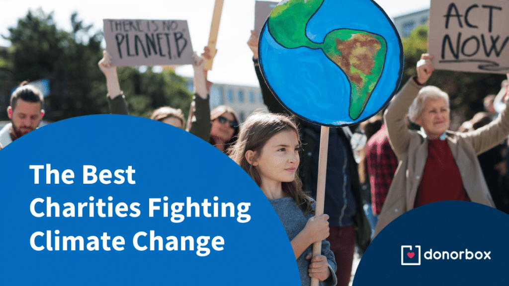 The 10 Best Charities Actively Fighting Climate Change